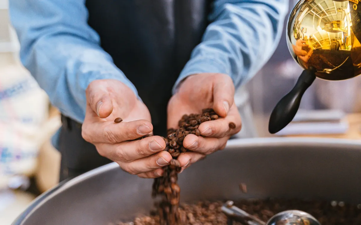 A roaster letting freshly roasted coffee beans run through his hands over the cooling tray